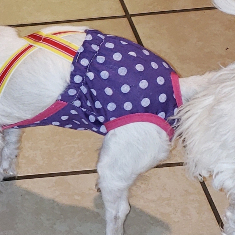 Reusable doggie diaper